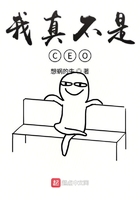 我真不是CEO