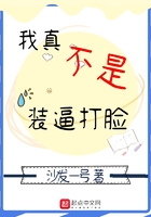 我真不是装逼打脸