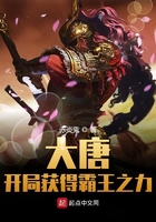 大唐:开局获得霸王之力