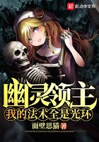 幽灵领主:我的法术全是光环
