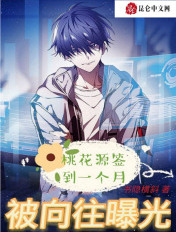 桃花源签到一个月，被向往曝光了