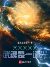 从斗罗开始:武魂是一道光