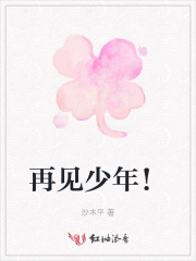 再见少年!