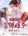 寒门科举:首辅娘子娇软又旺夫