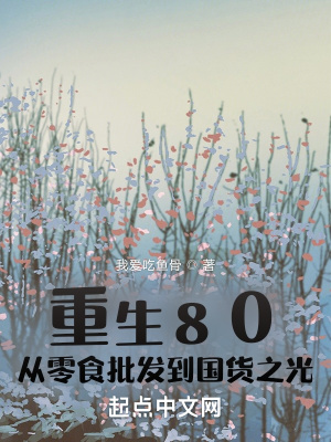 重生80:从零食批发到国货之光