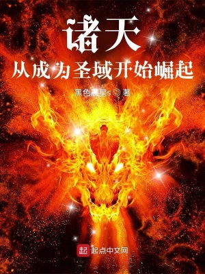 诸天:从成为圣域开始崛起