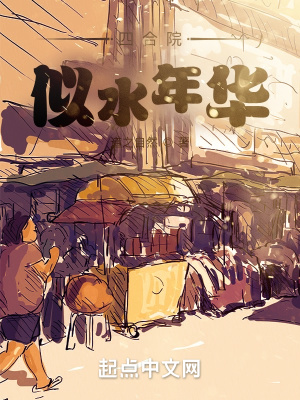 四合院:似水年华