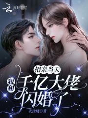 相亲当天,我和千亿大佬闪婚了