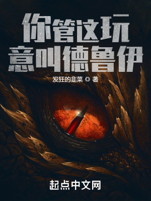 你管这玩意叫德鲁伊?