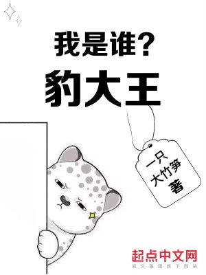 我是谁?豹大王