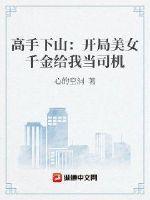 高手下山:开局美女千金给我当司机