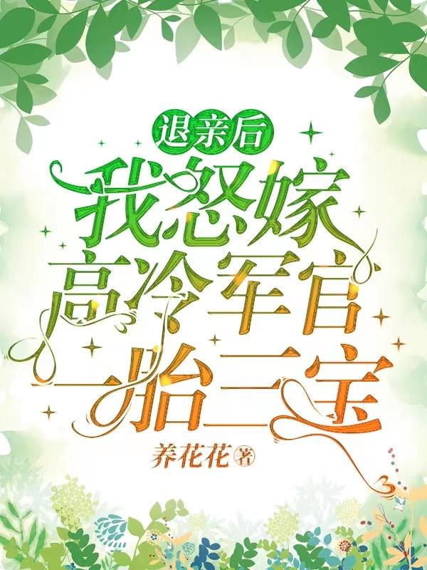 退亲后,我怒嫁高冷军官一胎三宝