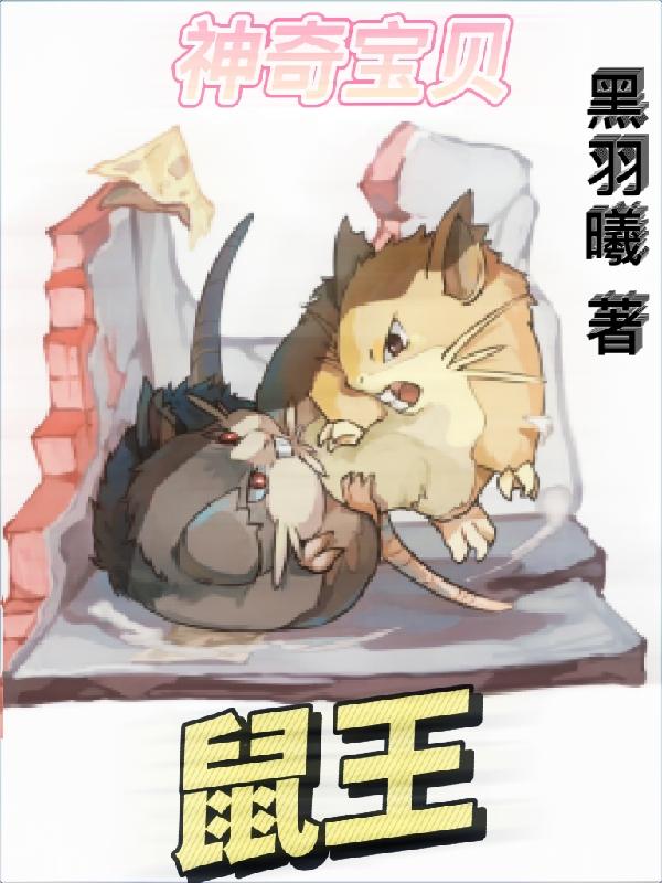 神奇宝贝:鼠王