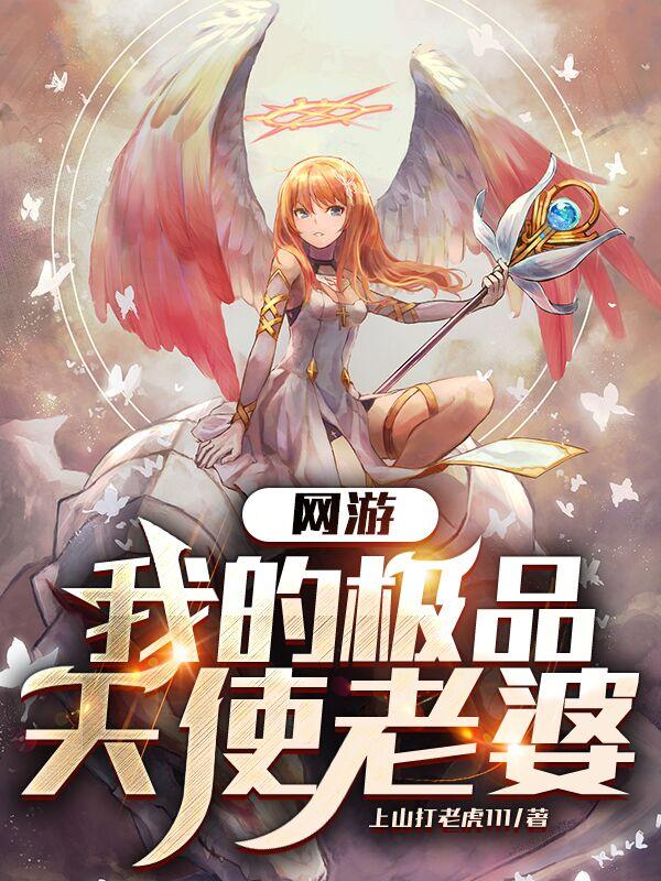 网游:我的极品天使老婆
