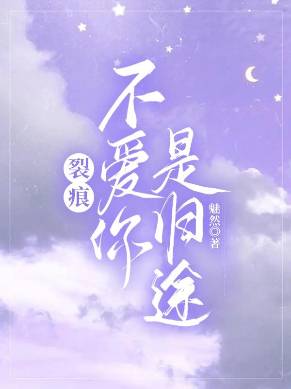 裂痕:不爱你是归途