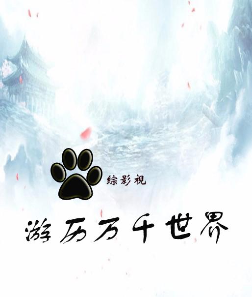 综影视:游历万千世界
