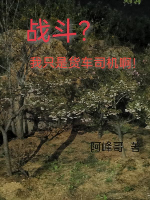 战斗?我只是货车司机啊!