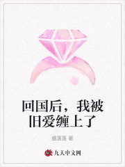 回国后,我被旧爱缠上了