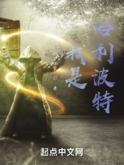 霍格沃茨:灰巫师哈利
