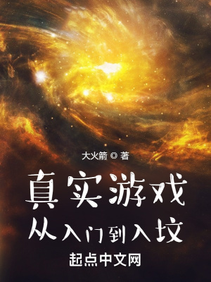 真实游戏:从入门到入坟