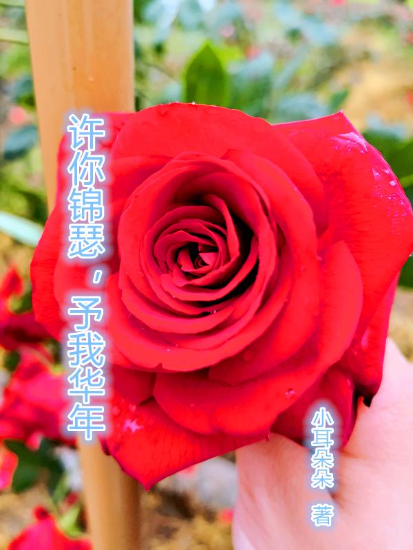 许你锦瑟,予我华年