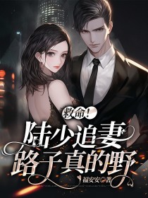 救命!陆少追妻路子真的野