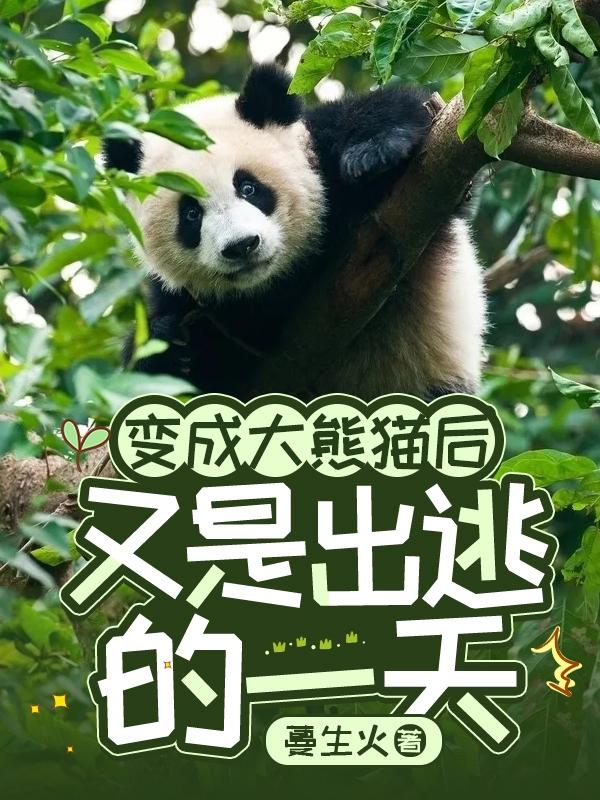 变成大熊猫萌可,可爱到爆!