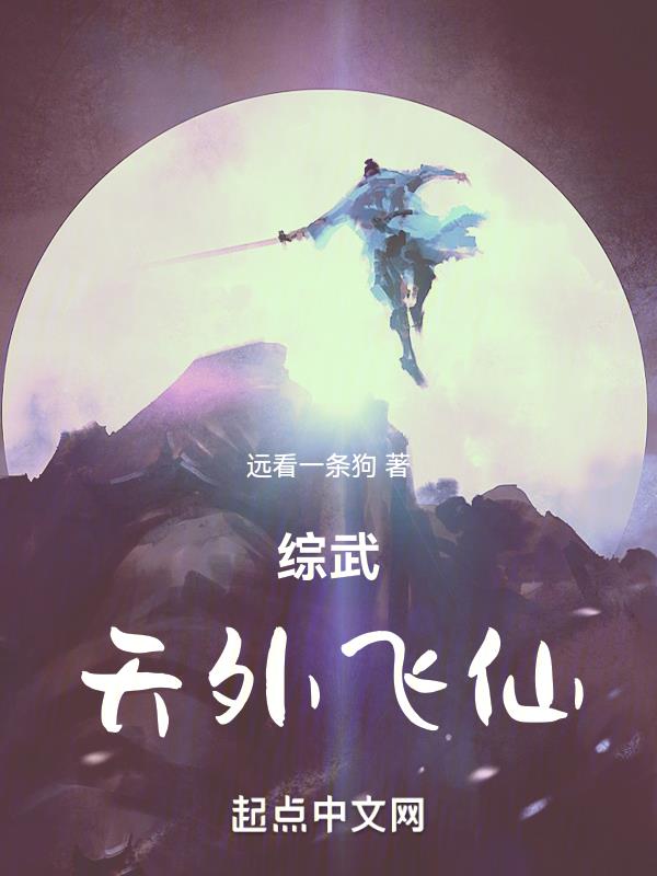 综武:天外飞仙