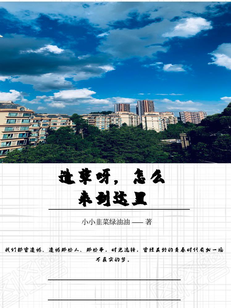 造孽呀,怎么来到这里