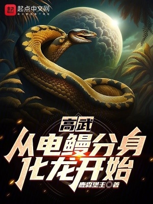 高武:从电鳗分身化龙开始