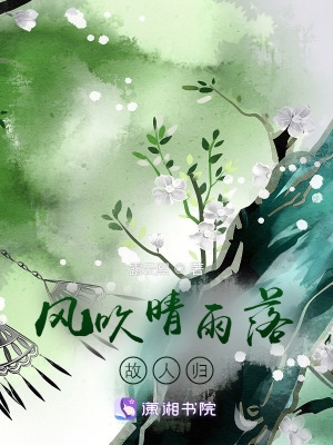 风吹晴雨落,故人归
