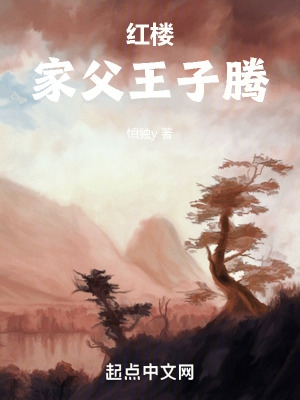 红楼:家父王子腾
