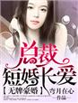 无牌豪婚,总裁短婚长爱