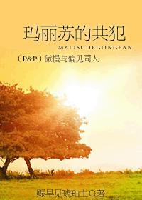(P&P)玛丽苏的共犯—傲慢与偏见同人