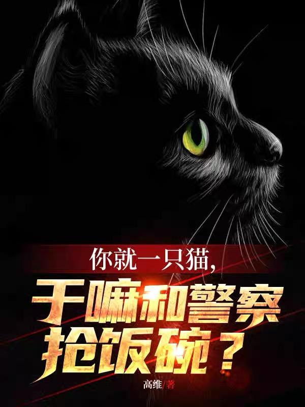 你就一只猫,干嘛和警察抢饭碗?