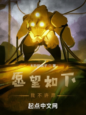愿望如下:我不许愿