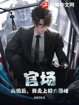 官场:离婚后,我走上权力巅峰
