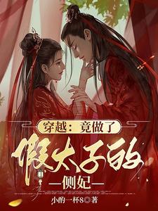 穿越:竟做了假太子的侧妃