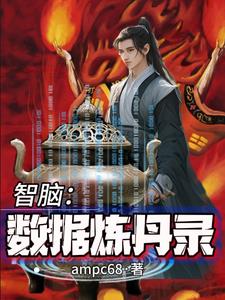 智脑:数据炼丹录