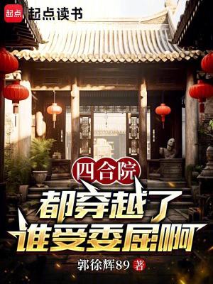 四合院:都穿越了谁受委屈啊