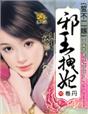 誓不二嫁:邪王拽妃(完本)