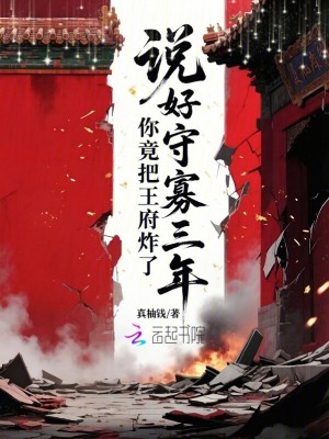 说好守寡三年,你竟把王府炸了
