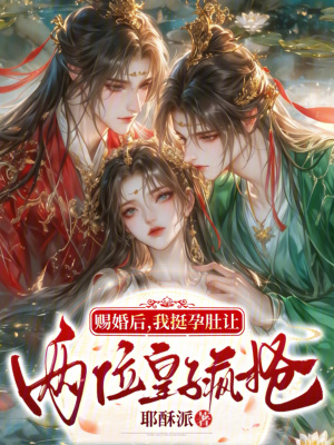 赐婚后，我挺孕肚让两位皇子疯抢