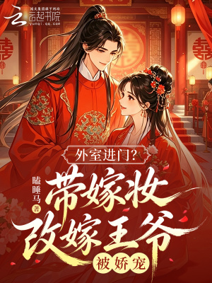 外室进门?带嫁妆改嫁王爷被娇宠