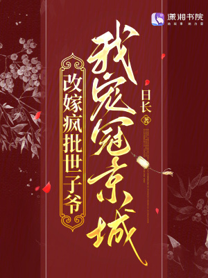 改嫁疯批世子爷，我宠冠京城