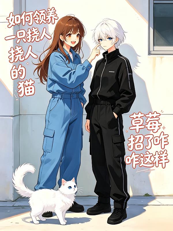 如何领养一只挠人的猫