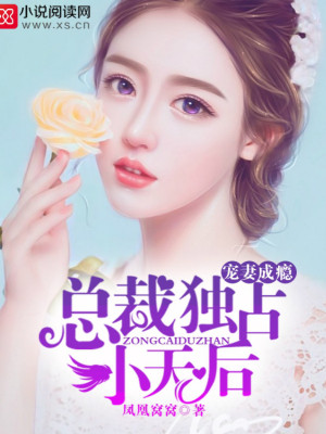 宠妻成瘾:总裁独占小天后