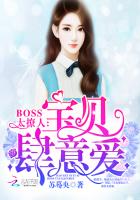 Boss太撩人:宝贝,肆意爱