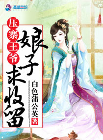 压寨王爷:娘子,求收留