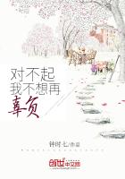 对不起,我不想再辜负